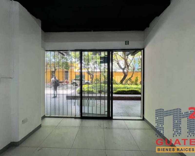 Local en Renta, Zona 10 (R10508)