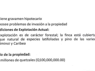 IZABAL/ Finca con minerales, árboles y Agua en Venta - 4