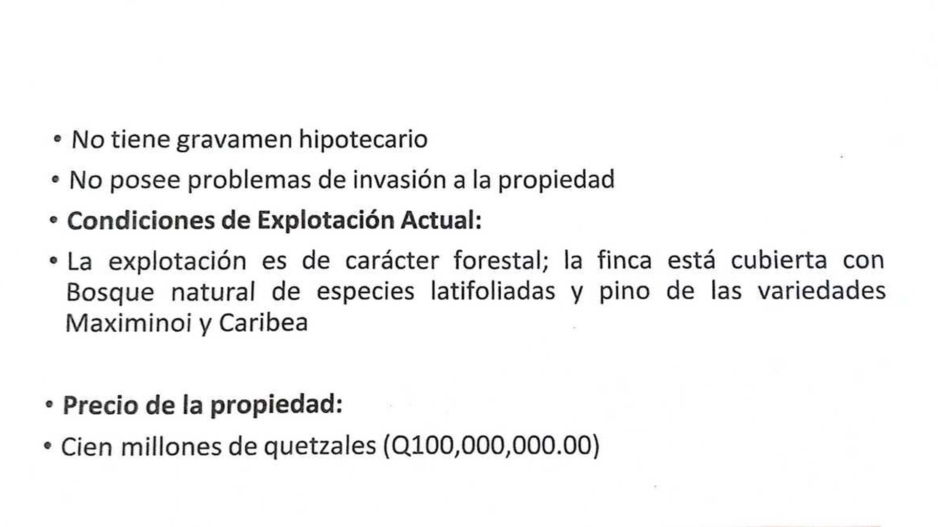 IZABAL/ Finca con minerales, árboles y Agua en Venta - Miniatura 4
