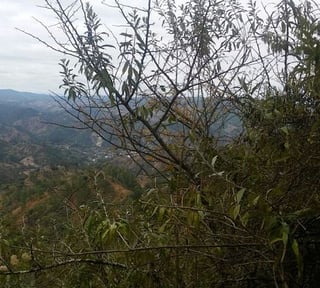En Venta 70 Manzanas Terreno Boscoso San Pedro Ayampuc