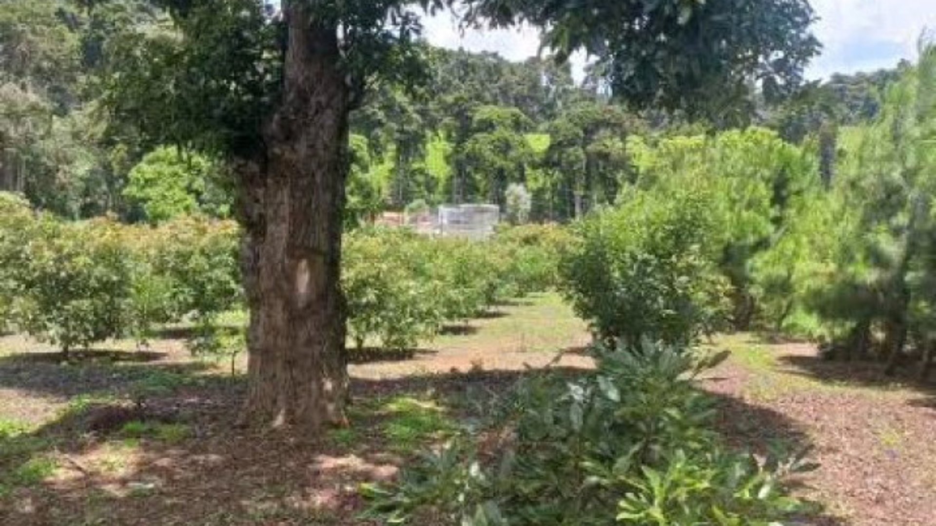 Terreno Comercial y Residencial en Venta Santiago Sac. - Miniatura 9