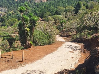 Terreno en Venta Santa Rosa de Lima - Image 12