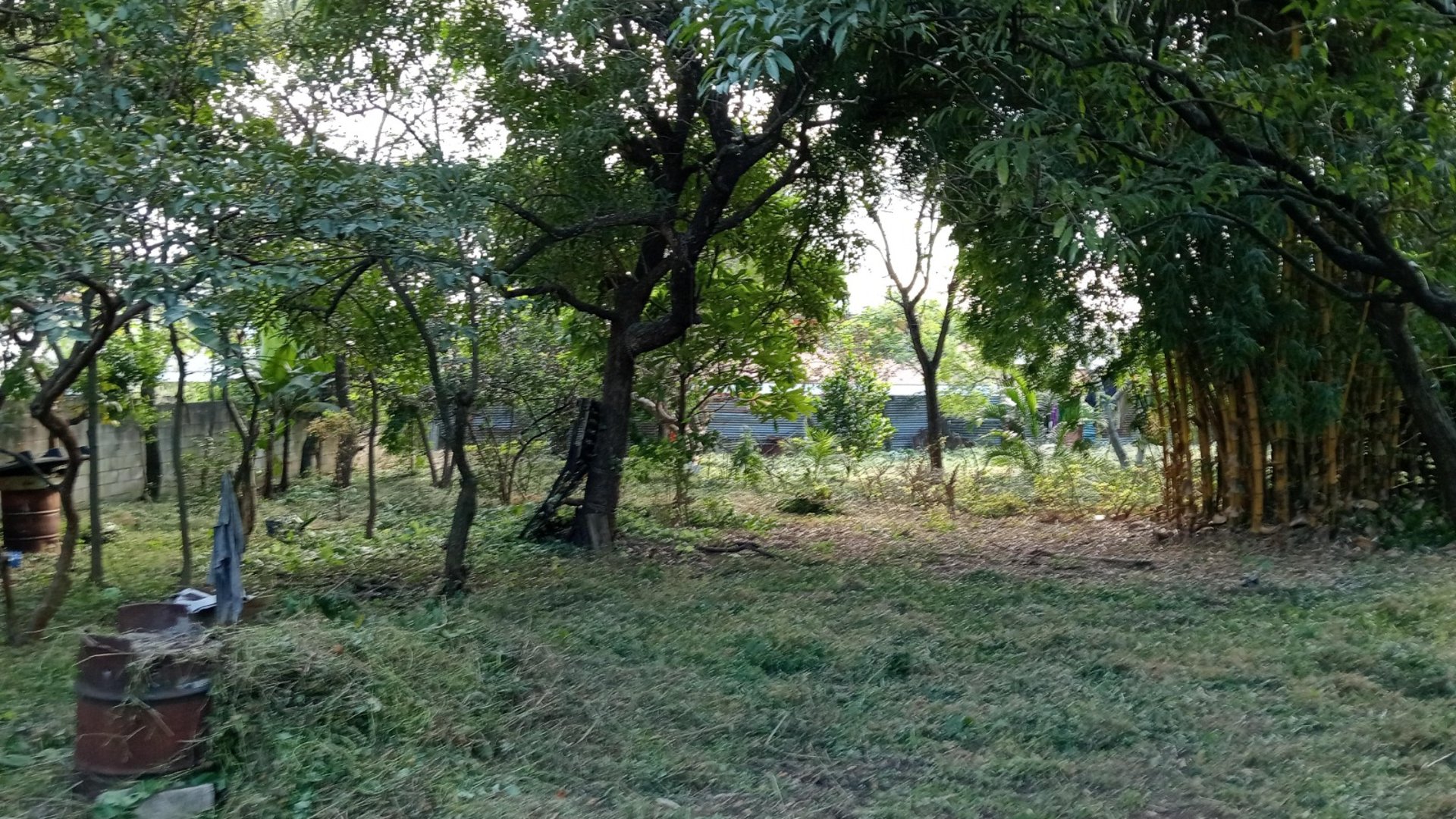 TERRENO EN VENTA – GUAJITOS, LOMA BLANCA | ZONA 21 - Miniatura 6