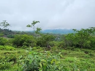 Km 18.2 al Occidente Pueblo Nuevo Viñas, área de Santa Rosa. - 2