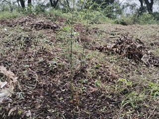 TERRENO EN VENTA EN GRANJA BUENOS AIRES - 4