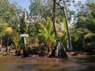 TERRENO EN VENTA EN IZABAL - 4