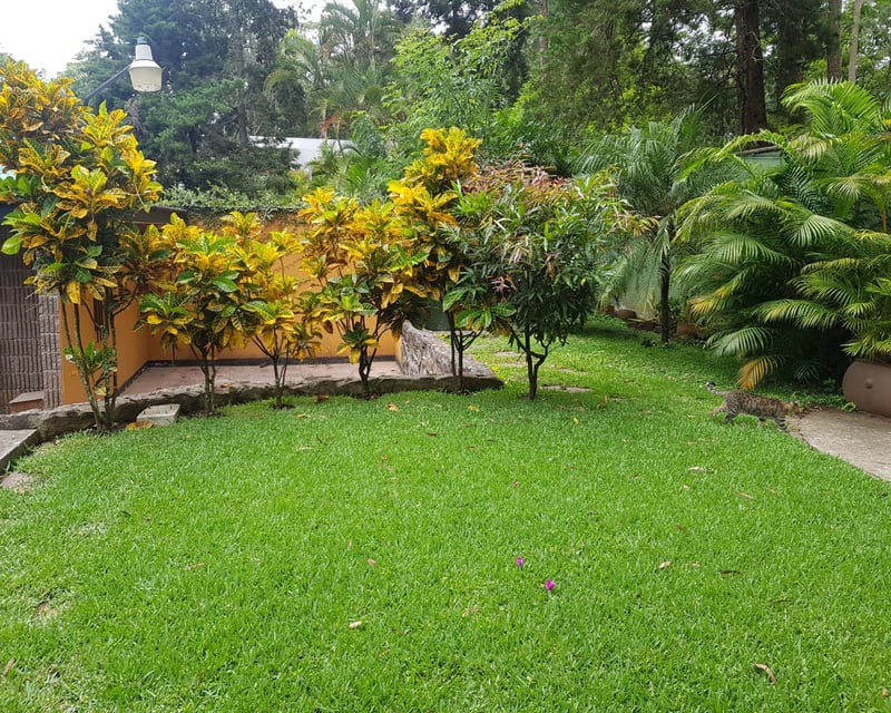 CASA O TERRENO PARA DESARROLLO EN BOULEVARD ACATAN ZONA 16