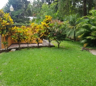 CASA O TERRENO PARA DESARROLLO EN BOULEVARD ACATAN ZONA 16