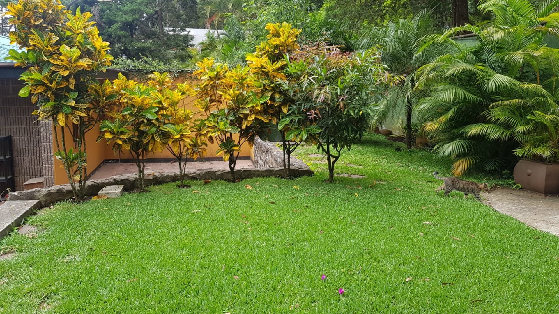 CASA O TERRENO PARA DESARROLLO EN BOULEVARD ACATAN ZONA 16