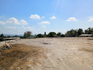 Terreno en Venta y Renta, Monjas Jalapa - 3