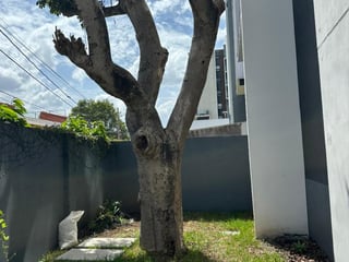 APARTAMENTO EN RENTA - ZONA 15 - 3