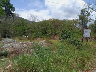 TEREENO EN VENTA EN DOÑA MARIA GUALÁN ZACAPA - 3