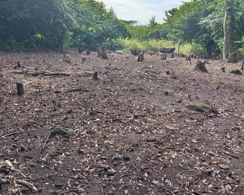 Terreno en Venta Lagunas de Torremolinos Escuintla