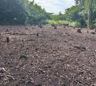 Terreno en Venta Lagunas de Torremolinos Escuintla