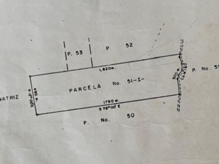 VENTA DE FINCA 2 CABALLERÍAS CON PLANTACIÓN DE HULE - IZABAL - 4