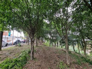 Terreno en Renta para Vivero o Restaurante tipo Pérgola - 3