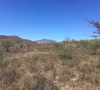 Terreno Comercial en Renta en Jutiapa, Guatemala