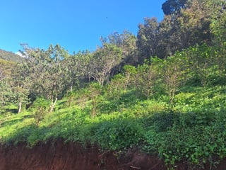 Terreno en Venta Santa Rosa de Lima - Image 1