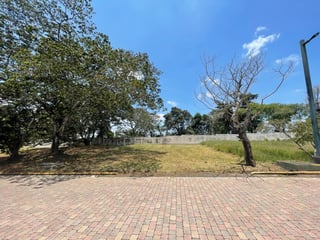 📍 TERRENO EN VENTA  | SAN MARTÍN DE ALLENDE | KM. 29.5 FRAIJANES - 4