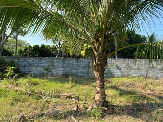 TERRENO EN VENTA EN ESCUINTLA - 5