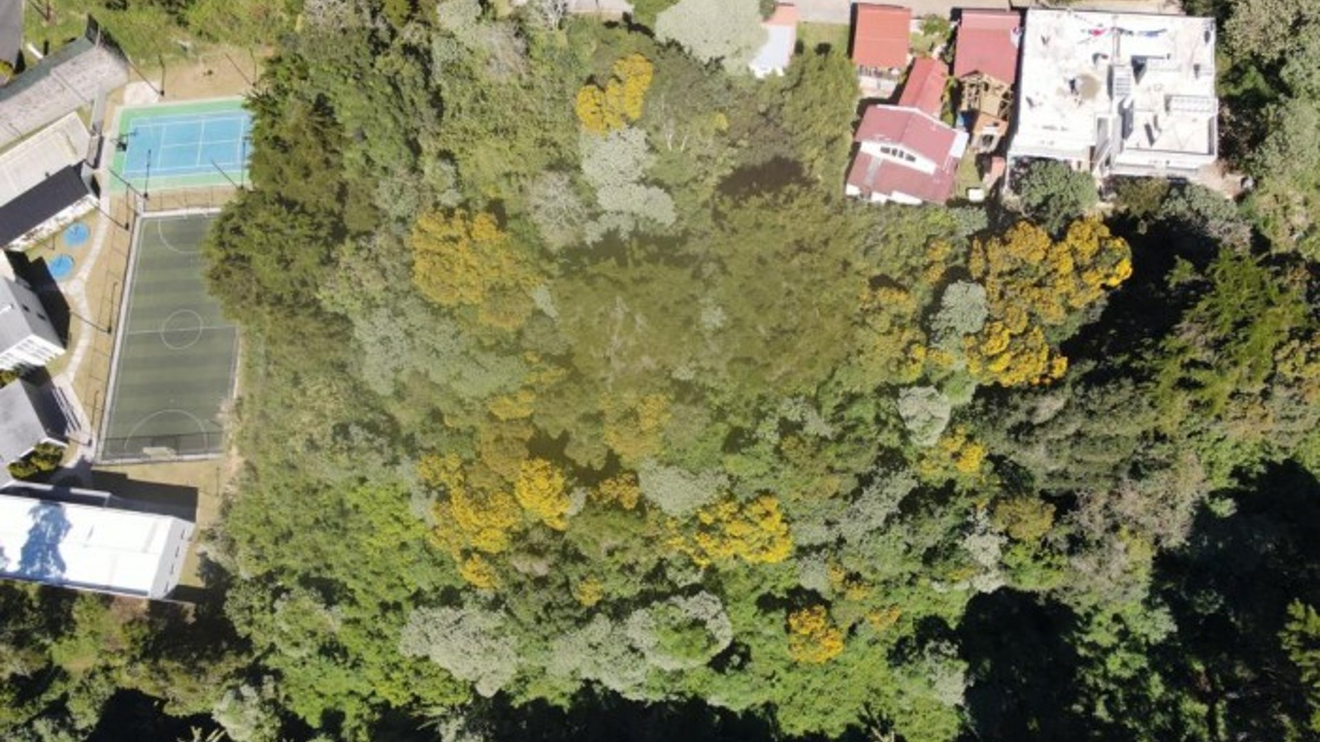 TERRENO EN VENTA EN KM. 15.5 CARRETERA AL SALVADOR.