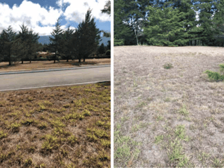 Terreno en venta, en Carretera al salvador - 3