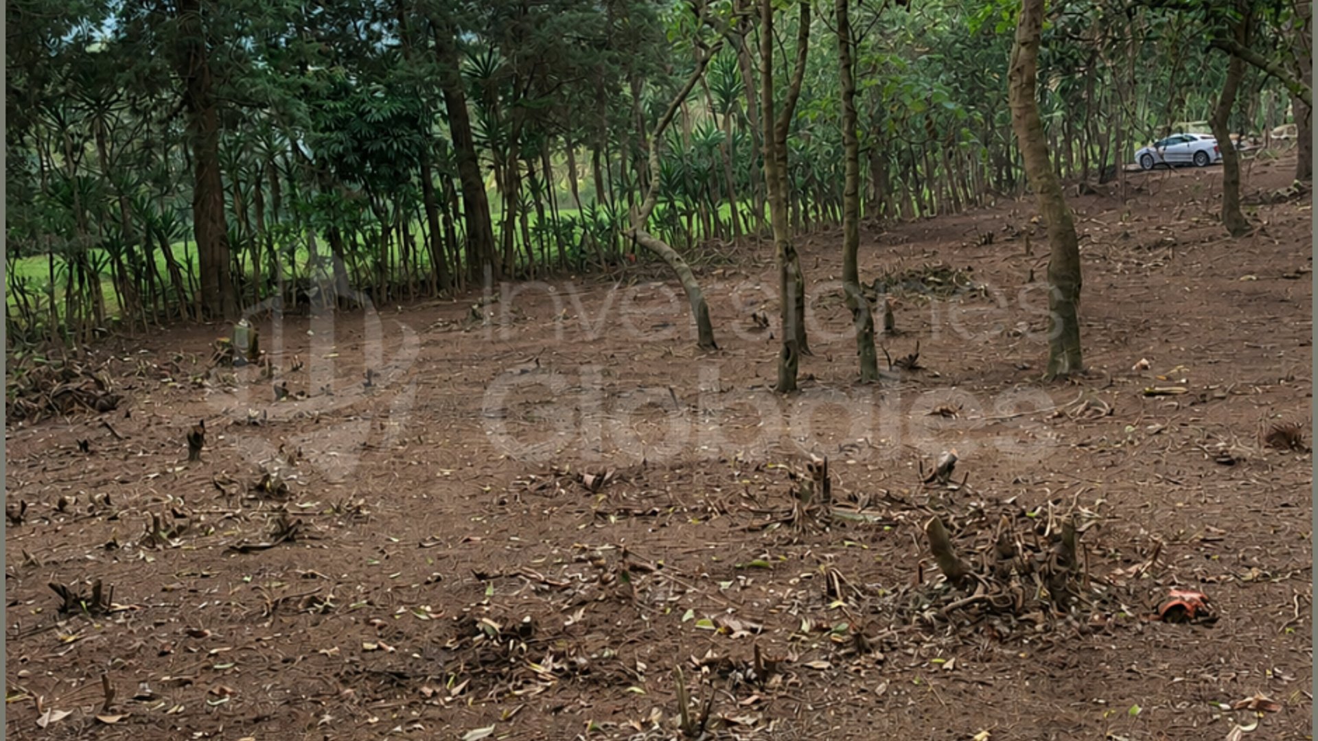 Terreno en venta sobre carretera Interamericana – San Lucas (Alta visibilidad) - Miniatura 2