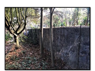 VENTA CASA CON TERRENO DE 4,268 VRS EN LAS TAPIAS ZONA 18 - 4