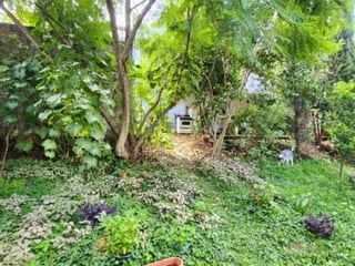 Terreno con Locales y Apto. en Venta en San Cristóbal - 3