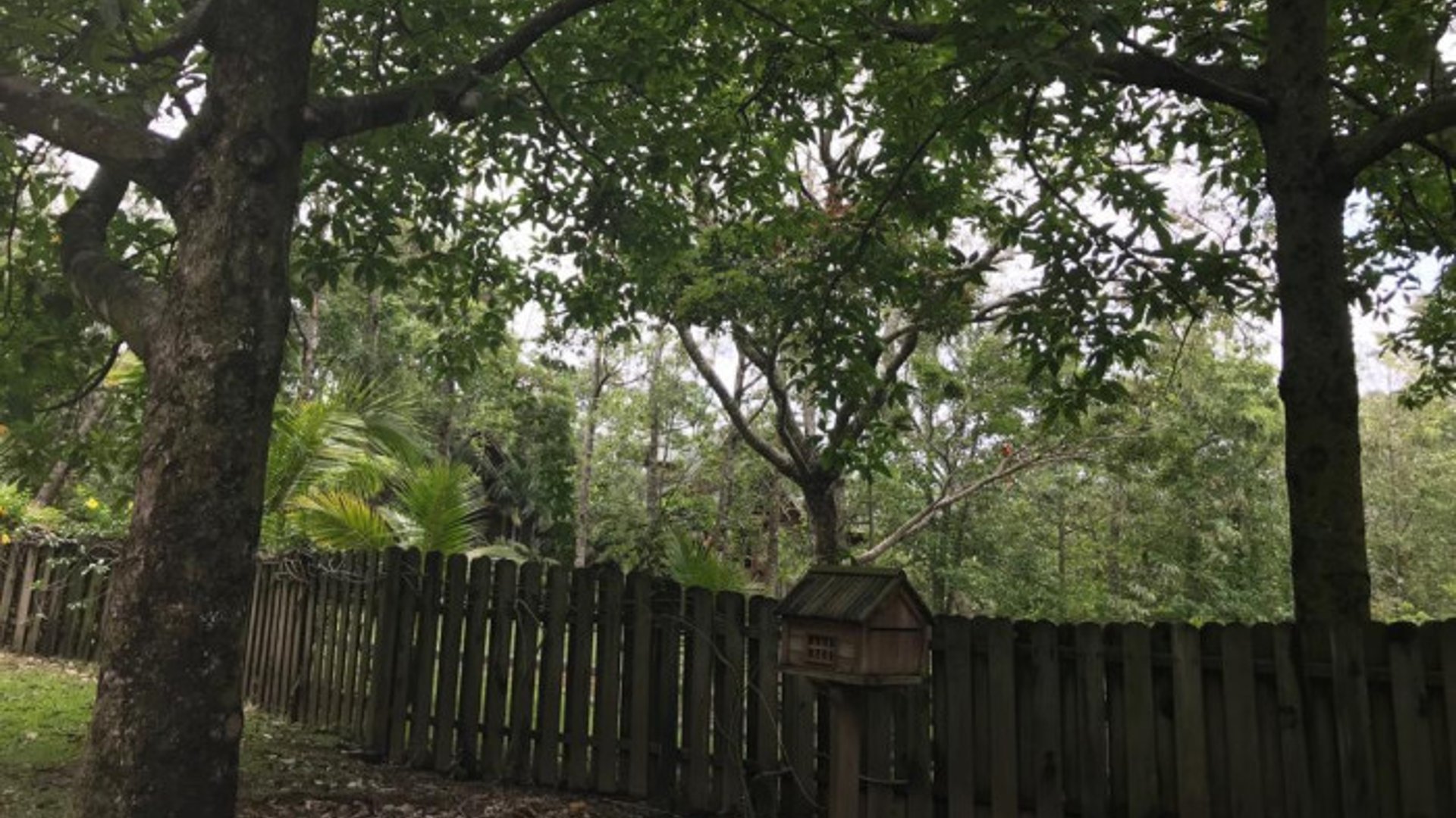 TERRENO EN VENTA CAMPO AVENTURA PALIN ESCUINTLA - Miniatura 9