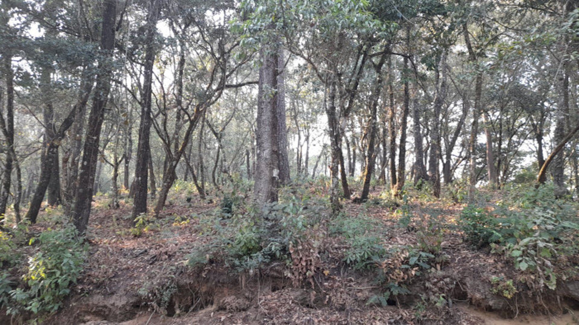 Terreno en Venta en El Encinal Zona 7 Mixco - Miniatura 10