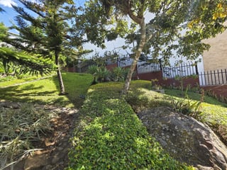 Terreno Residencial en Venta en Lomas de San Isidro Z16 - 5