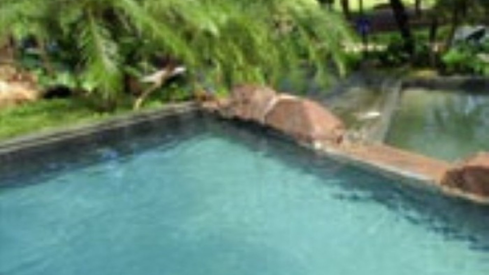 Terreno en Venta Reserva Cataratas de Uxmel, Turicentro - Miniatura 2