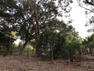 Terreno en venta, en Escuintla - 5