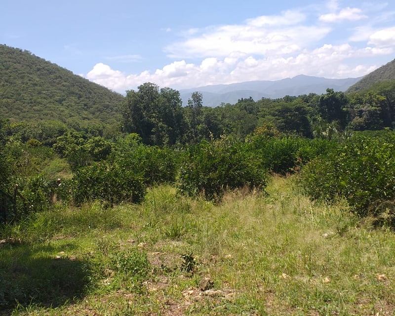 FINCA EN VENTA EN EL PROGRESO 