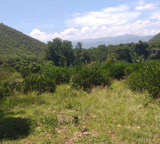 FINCA EN VENTA EN EL PROGRESO 