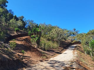 Terreno en Venta Santa Rosa de Lima - Image 11