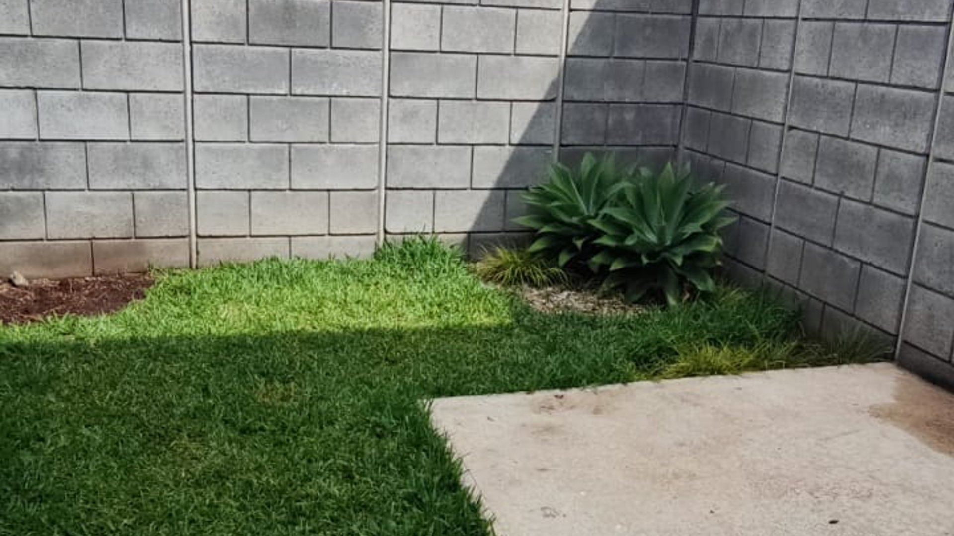 ???? CASA EN RENTA – 2 HAB + JARDÍN | HACIENDA REAL | ZONA 16 - Miniatura 11