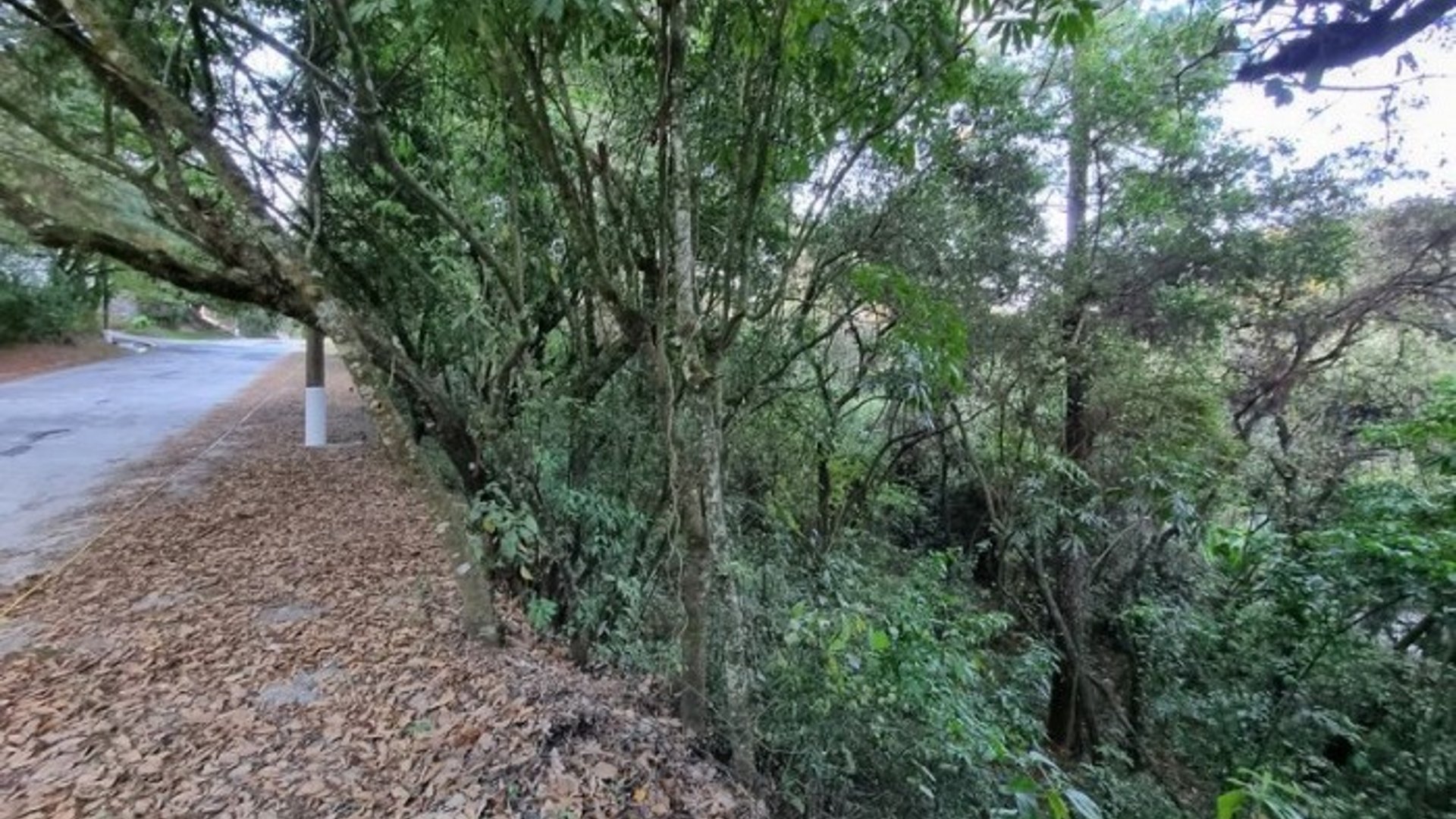 Terreno en Venta en El Encinal, Zona 7 de Mixco - Miniatura 6