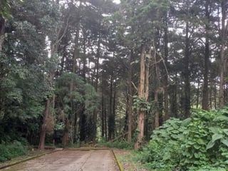Terreno en Venta en Casa   Campo Carretera el salvador. - 5