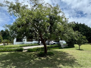 Casa de 1 nivel en Renta o Venta Carretera a El Salvador - 5