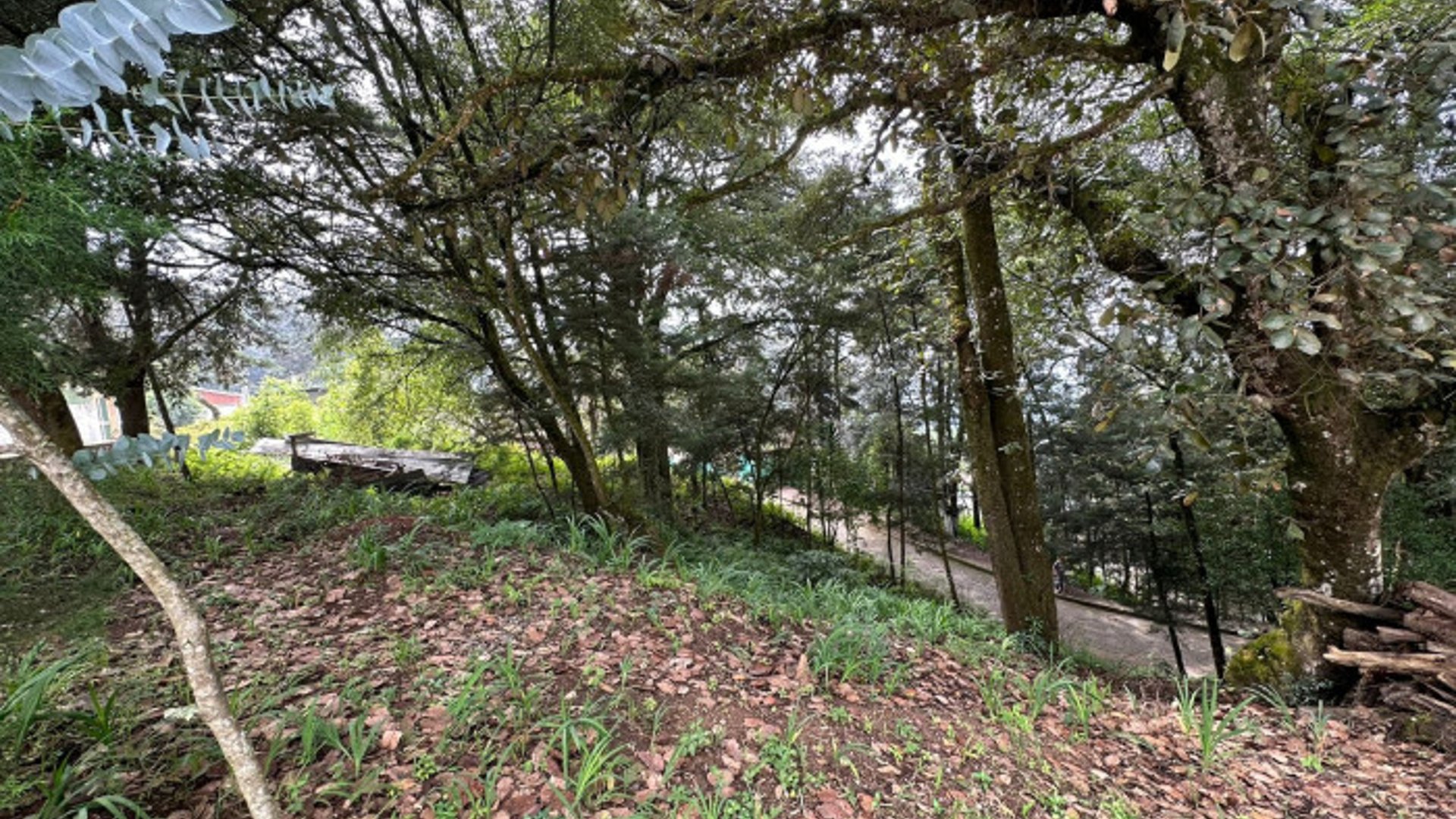 Terreno Residencial en Venta - Santa Lucia Milpas Altas - Miniatura 9