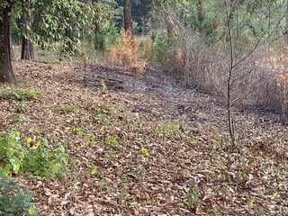 Terreno en Venta en Santa Lucía Milpas Altas, Sacatepéquez - 3