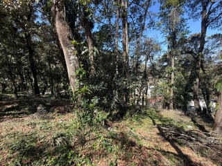 Terreno en Venta, en Zona 16 Las Cumbres - 2
