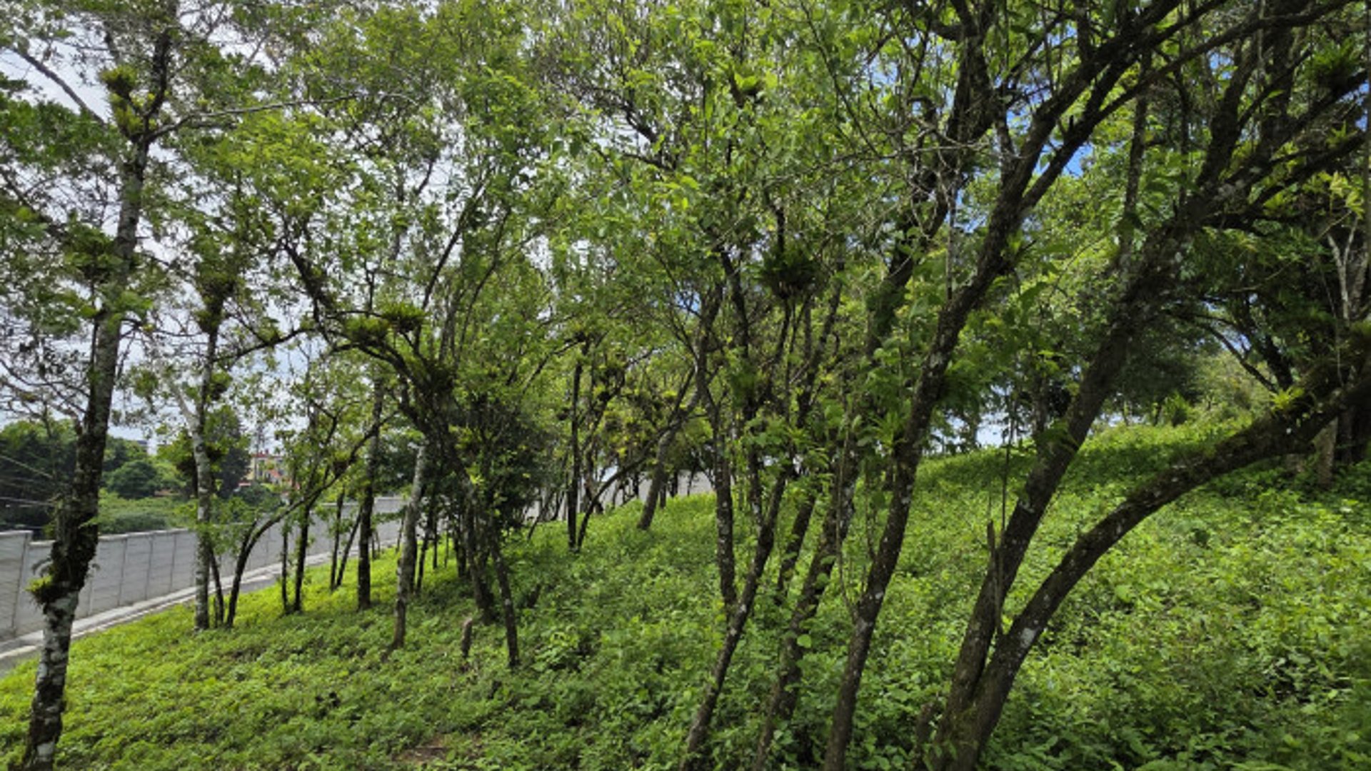 Terreno Venta Altos San Vicente Sta. Catarina Pinula - Miniatura 16