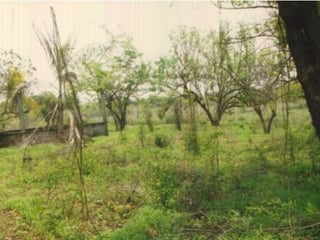 Terreno en venta Costa Linda Autopista Puerto Quetzal - 5