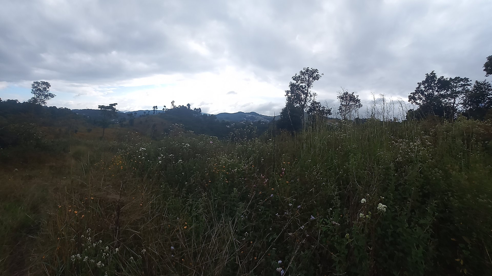 Terreno Comercial área San Pedro Ayampuc