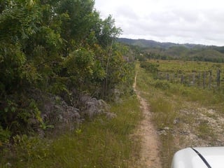 FINCA PROPIEDAD FORESTAL Y DE CONSERVACIÓN EN PETÉN - 3