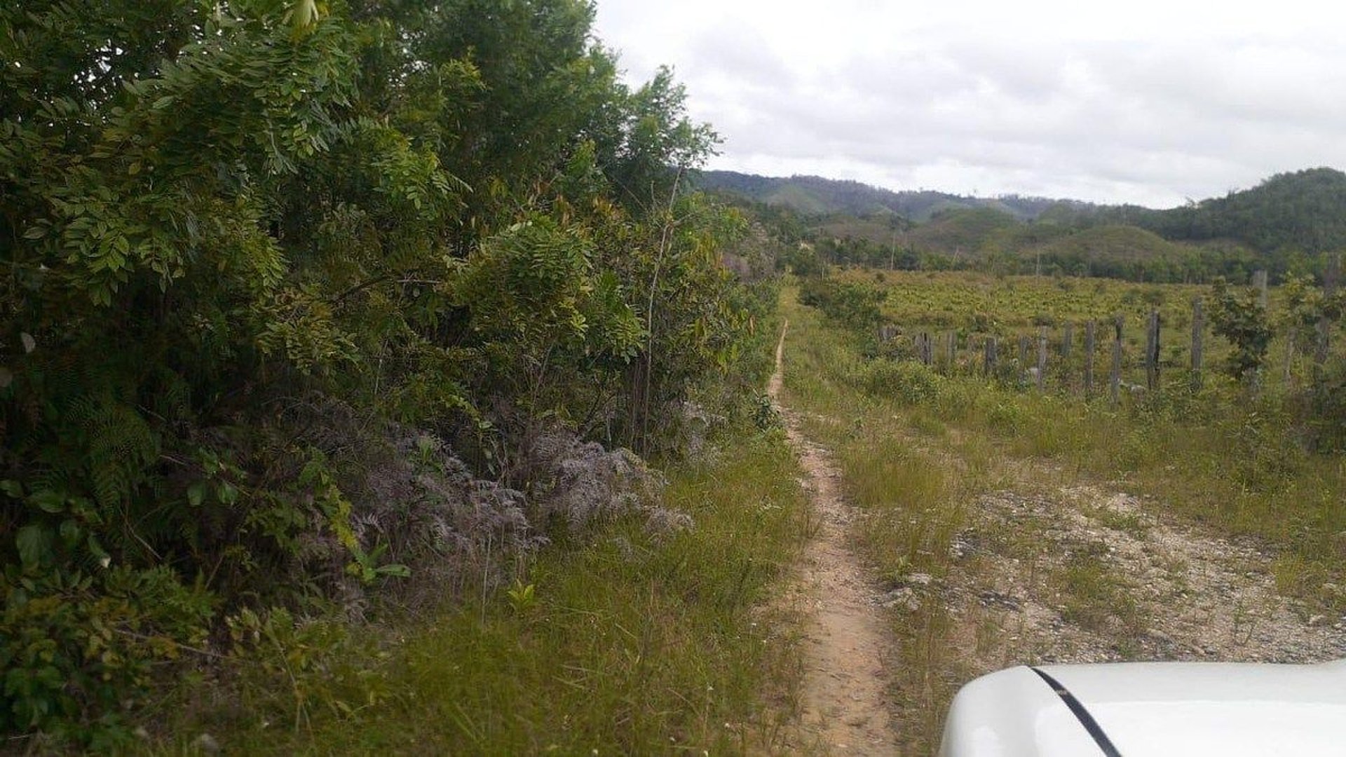 FINCA PROPIEDAD FORESTAL Y DE CONSERVACIÓN EN PETÉN - Miniatura 3
