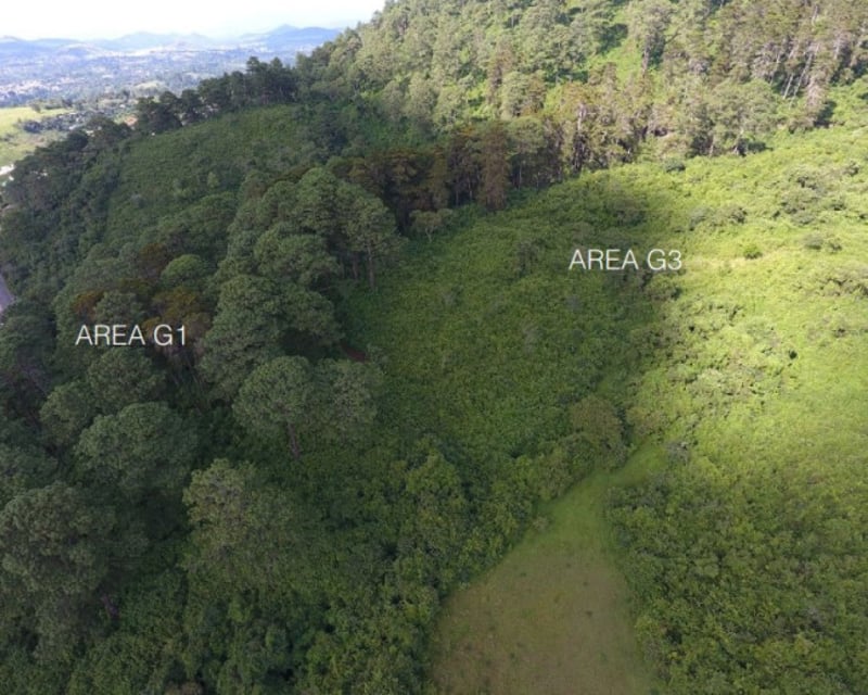 TERRENO EN VENTA PARA DESARROLLO ZONA 16